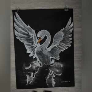 Elegant Swan white charcoal sketched